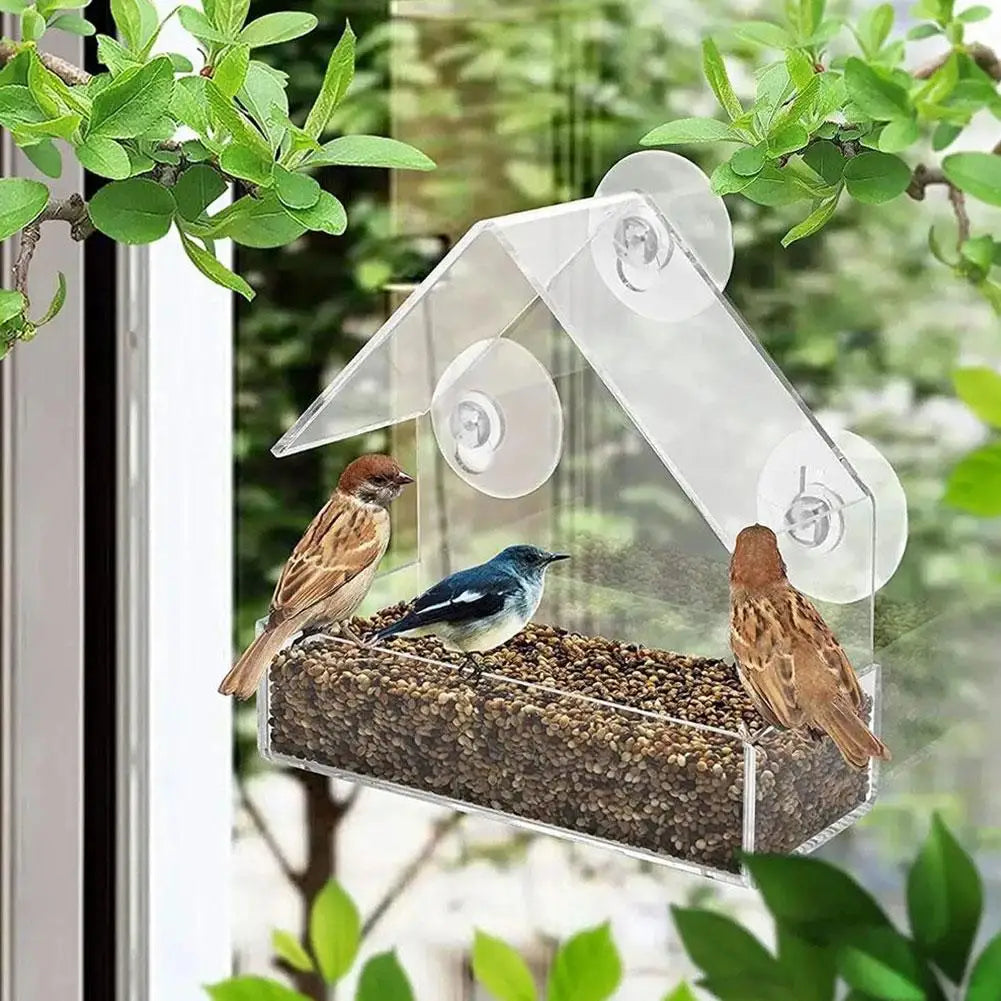 Acrylic Bird Feeder