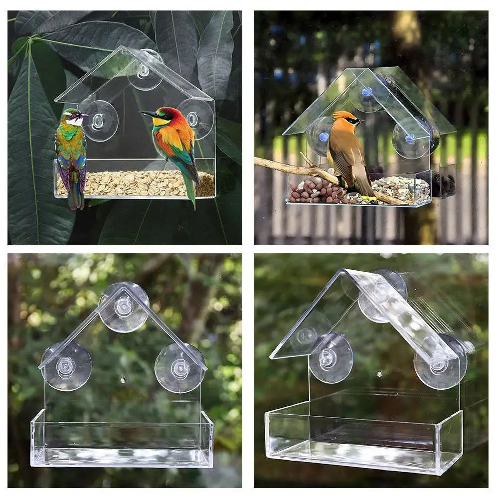 Acrylic Bird Feeder
