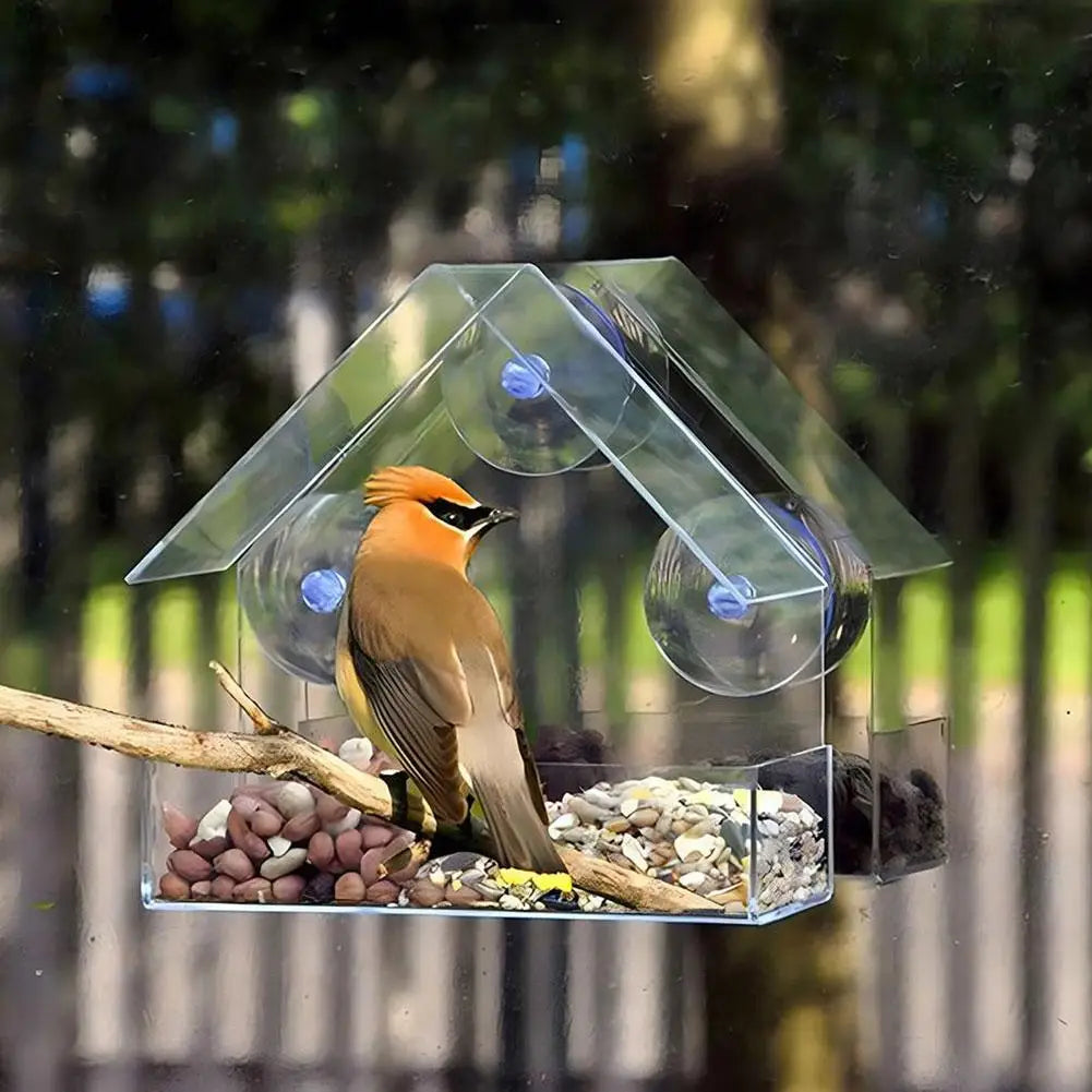 Acrylic Bird Feeder