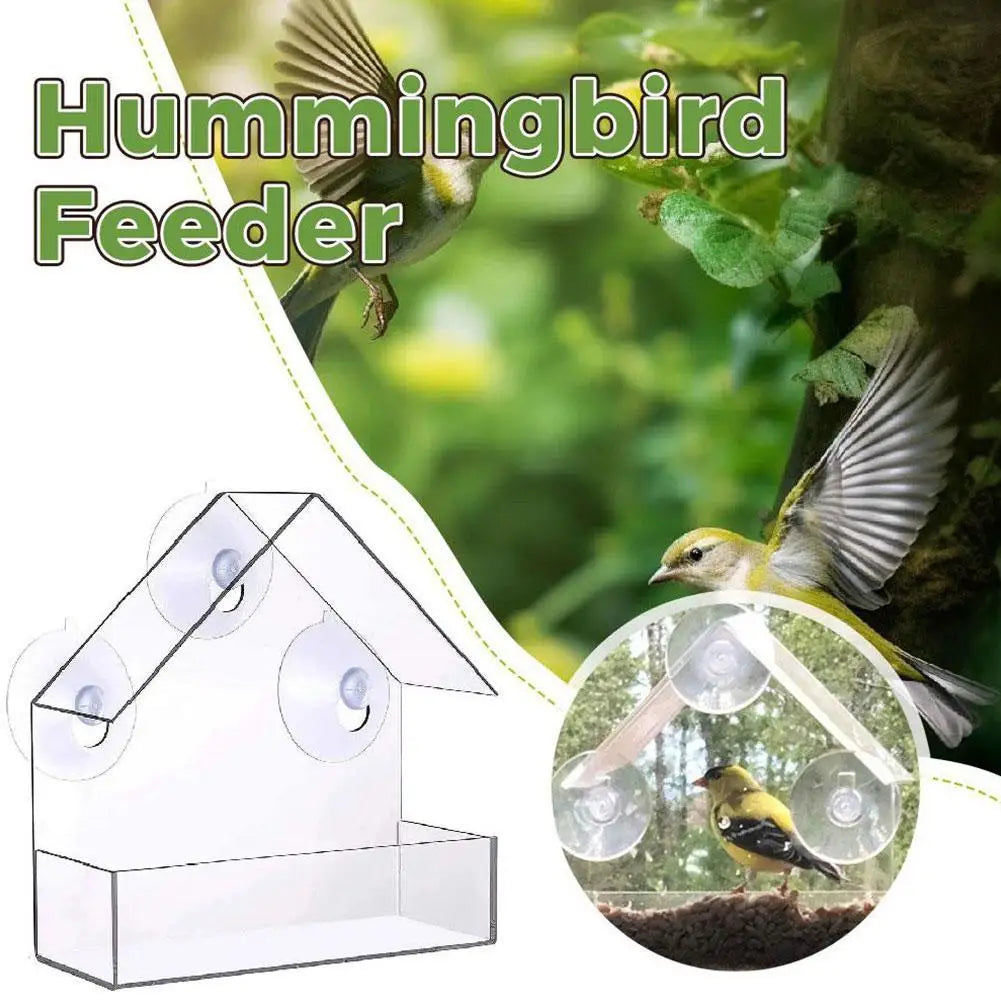Acrylic Bird Feeder